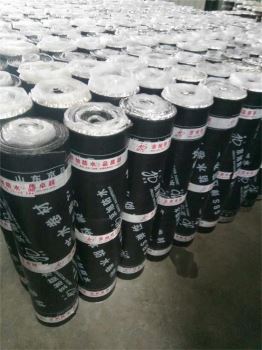 APP改性沥青防水卷材