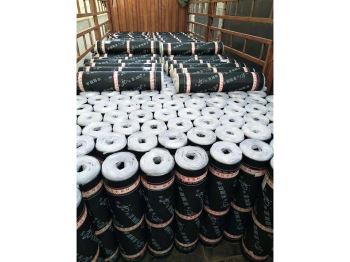 弹性体改性沥青防水卷材